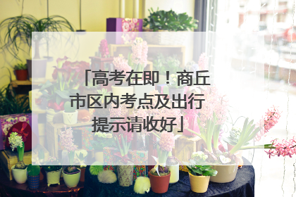 高考在即！商丘市区内考点及出行提示请收好