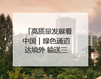 高质量发展看中国｜绿色通道达境外 输送三江“一口鲜”