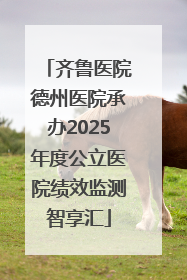 齐鲁医院德州医院承办2025年度公立医院绩效监测智享汇