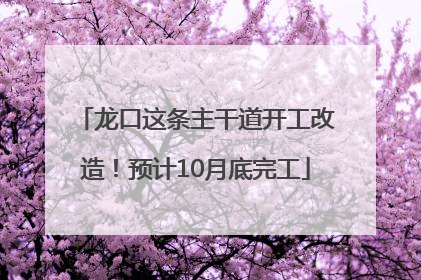 龙口这条主干道开工改造！预计10月底完工
