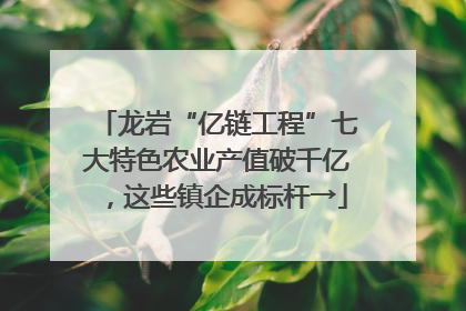 龙岩“亿链工程”七大特色农业产值破千亿，这些镇企成标杆→