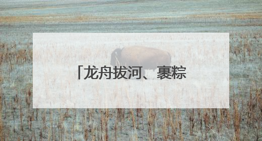 龙舟拔河、裹粽子、渔俗文旅……海宁端午民俗活动“好戏连台”