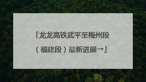 龙龙高铁武平至梅州段（福建段）最新进展→