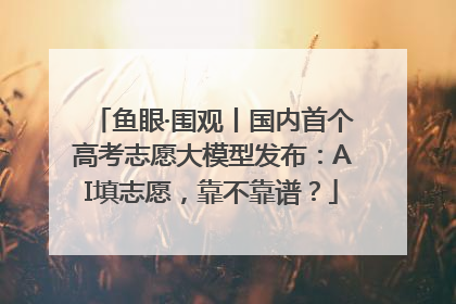 鱼眼·围观丨国内首个高考志愿大模型发布：AI填志愿，靠不靠谱？