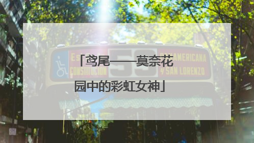 鸢尾——莫奈花园中的彩虹女神