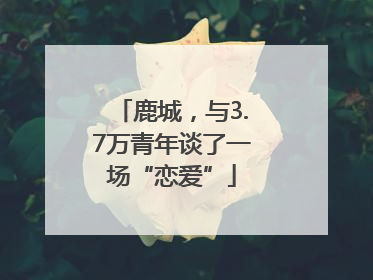 鹿城，与3.7万青年谈了一场“恋爱”