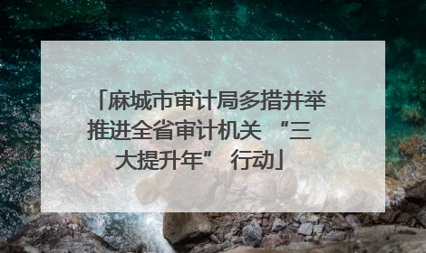 麻城市审计局多措并举推进全省审计机关 “三大提升年” 行动