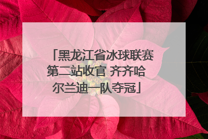 黑龙江省冰球联赛第二站收官 齐齐哈尔兰迪一队夺冠