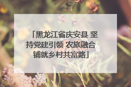 黑龙江省庆安县 坚持党建引领 农旅融合铺就乡村共富路