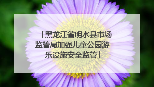 黑龙江省明水县市场监管局加强儿童公园游乐设施安全监管
