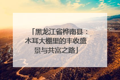 黑龙江省桦南县：木耳大棚里的丰收盛景与共富之路