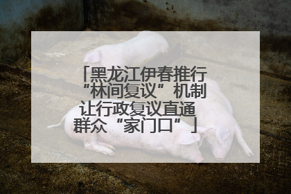 黑龙江伊春推行“林间复议”机制 让行政复议直通群众“家门口”