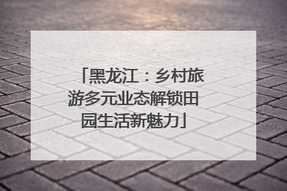 黑龙江：乡村旅游多元业态解锁田园生活新魅力