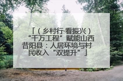 （乡村行·看振兴）“千万工程”赋能山西昔阳县：人居环境与村民收入“双提升”