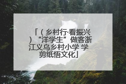 （乡村行·看振兴）“洋学生”做客浙江义乌乡村小学 学剪纸悟文化