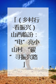 （乡村行·看振兴）山西临汾：“电”亮小山村 “碳”寻振兴路