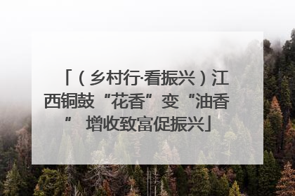 （乡村行·看振兴）江西铜鼓“花香”变“油香” 增收致富促振兴