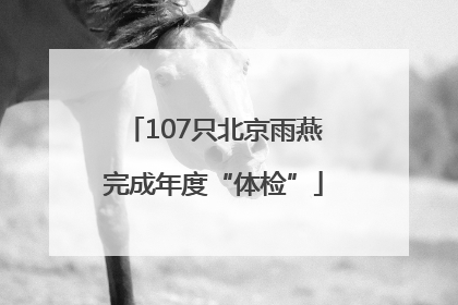 107只北京雨燕完成年度“体检”