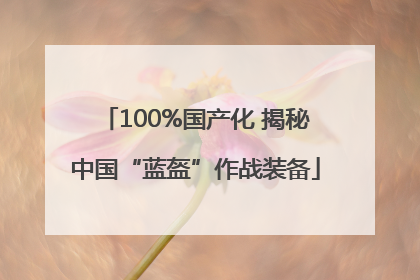 100%国产化 揭秘中国“蓝盔”作战装备