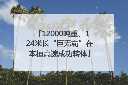 12000吨重、124米长“巨无霸”在本桓高速成功转体