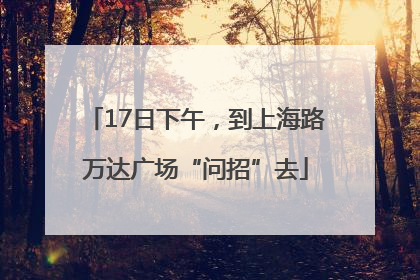 17日下午，到上海路万达广场“问招”去