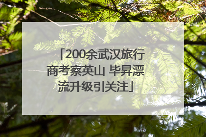 200余武汉旅行商考察英山 毕昇漂流升级引关注