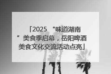 2025 “味道湖南”美食季启幕，岳阳啤酒美食文化交流活动点亮