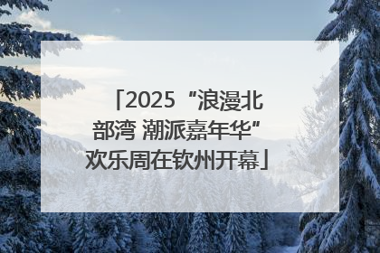 2025“浪漫北部湾 潮派嘉年华”欢乐周在钦州开幕