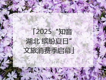 2025“知音湖北 缤纷夏日”文旅消费季启幕