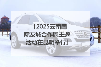 2025云南国际友城合作周主题活动在昆明举行