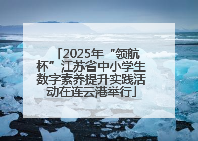 2025年“领航杯”江苏省中小学生数字素养提升实践活动在连云港举行