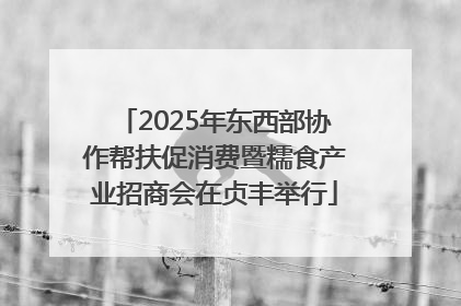 2025年东西部协作帮扶促消费暨糯食产业招商会在贞丰举行