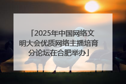2025年中国网络文明大会优质网络主播培育分论坛在合肥举办