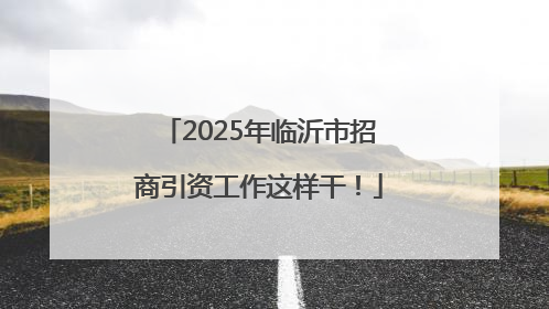 2025年临沂市招商引资工作这样干！