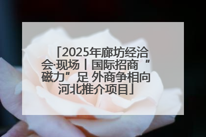 2025年廊坊经洽会·现场丨国际招商“磁力”足 外商争相向河北推介项目