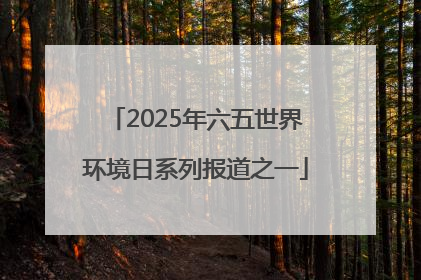 2025年六五世界环境日系列报道之一