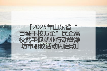 2025年山东省“百城千校万企”民企高校携手促就业行动暨潍坊市职教活动周启动