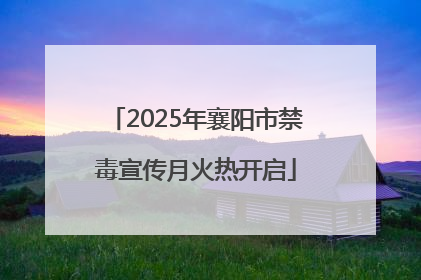 2025年襄阳市禁毒宣传月火热开启