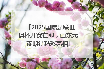 2025国际足联世俱杯开赛在即，山东元素期待精彩亮相