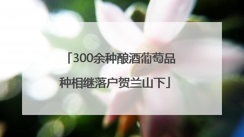 300余种酿酒葡萄品种相继落户贺兰山下