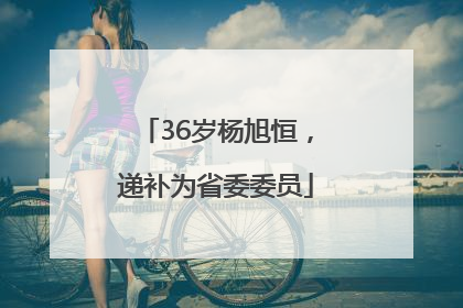 36岁杨旭恒，递补为省委委员