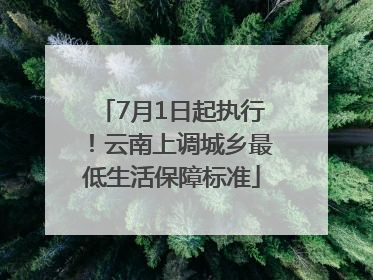 7月1日起执行！云南上调城乡最低生活保障标准