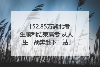 52.85万湖北考生顺利结束高考 从人生一战奔赴下一站