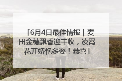 6月4日最佳情报｜麦田金穗飘香迎丰收，凌霄花开娇艳多姿！恭喜