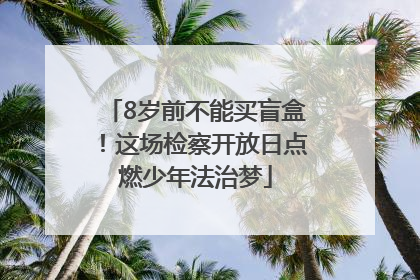8岁前不能买盲盒！这场检察开放日点燃少年法治梦
