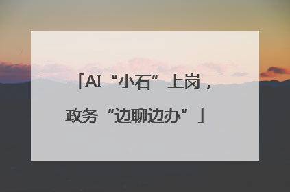 AI“小石”上岗，政务“边聊边办”