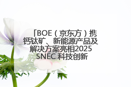 BOE（京东方）携钙钛矿、新能源产品及解决方案亮相2025 SNEC 科技创新赋能行业绿色发展