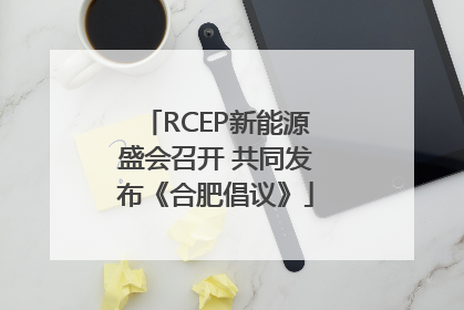 RCEP新能源盛会召开 共同发布《合肥倡议》