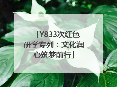 Y833次红色研学专列：文化润心筑梦前行